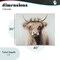 Stupell Industries Shaggy Cattle Floral Crown Canvas, design by Shawna Stewart